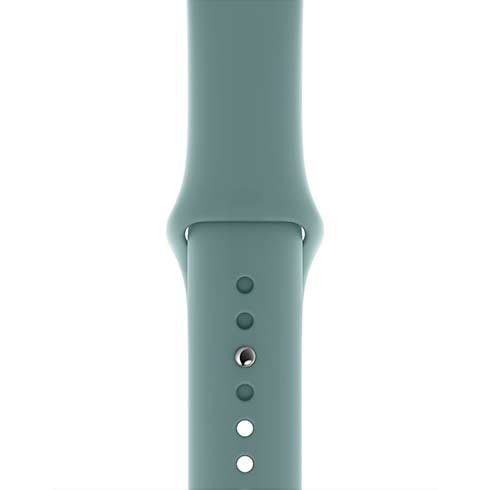 Apple Watch 40mm Cactus Sport Band - Regular-